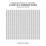 A Light In A Darkened World