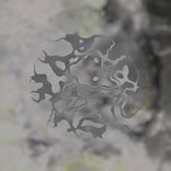 Delayed Space Bleeps