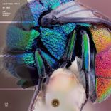 Artwork for "Be Free"