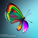 Artwork for "Electric Night"