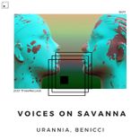 Artwork voor "Voices on Savanna"