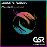 Artwork für "Phoenix"