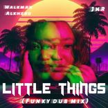 Artwork for "Little things"