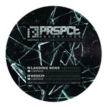 Artwork for "Landing Bone / Hess29"