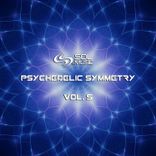 Limits of Physical Reality