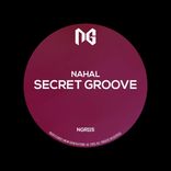 Artwork for "Secret Groove"