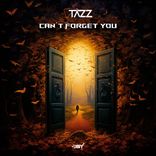Artwork für "Can't Forget You"