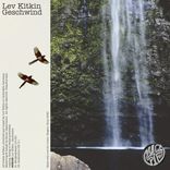 Portada para "Geschwind"