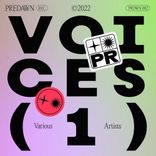 Artwork for "Voices 01"