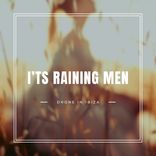 Artwork for "It's Raining Men"