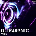 Artwork for "Ultrasonic"