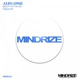 Portada para "Beauty In The Sky"