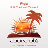 Artwork voor "Until The Last Moment"