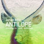Artwork for "Antilope"