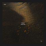 Artwork für "Shimmer"