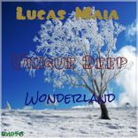 Artwork voor "Wonderland"