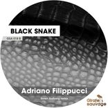 Artwork for "Black Snake"