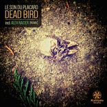 Artwork for "Dead Bird"