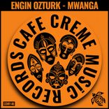 Artwork for "Mwanga"