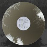 Artwork for "The Lapse"