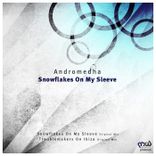 Artwork for "Snowflakes on My Sleeve"