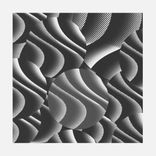 Portada para "Random Future"