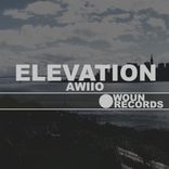 Artwork for "Elevation"
