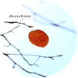 Artwork voor "Leaf Of Faith"