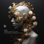 Artwork for "Spinnin"