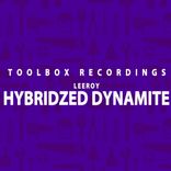 Artwork voor "Hybridized Dynamite"