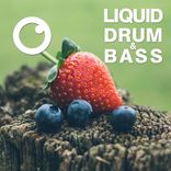 Liquid Drum & Bass Sessions 2020 Vol 21