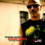 Portada para "Remixes Sector B"