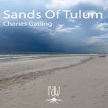 Artwork for "Sands Of Tulum"
