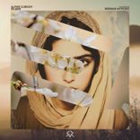 Artwork for "Dilber"