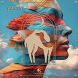 Artwork voor "Voices"