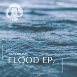 Artwork for "Flood"