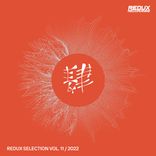 Artwork for "Redux Selection, Vol. 11 / 2022"