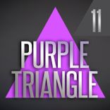 Portada para "Purple Triangle - Box 11"