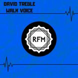 Artwork voor "Walk Voice"