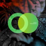 Artwork for "Trascendence"