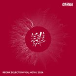 Artwork for "Redux Selection, Vol. 10 / 2024"
