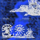 Artwork for "Habibi"