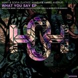 Artwork for "What You Say"