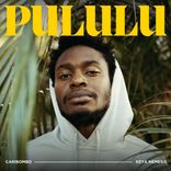 Artwork for "Pululu"