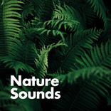 Portada para "Nature Sounds"