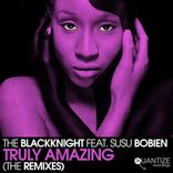 Artwork für "Truly Amazing (The Remixes)"