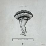 Artwork für "Bodies & Floor"