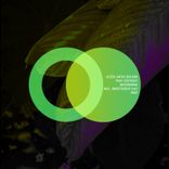 Artwork voor "Nevermind"