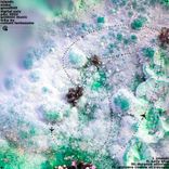 Artwork für "Islands"