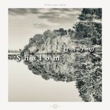 Artwork voor "Shalom"